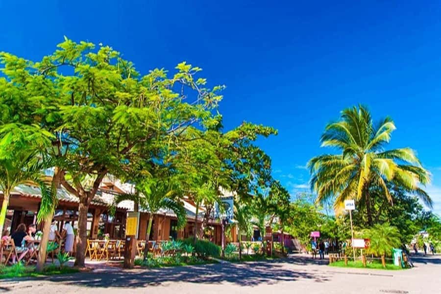 From Salvador: Praia do Forte & Guarajuba Beach Daytrip - What to Bring and What to Expect
