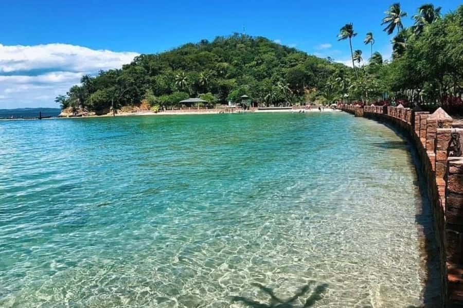 From Salvador: Schooner Tour to Frades Island - Salvador’s forts and churches from the bay
