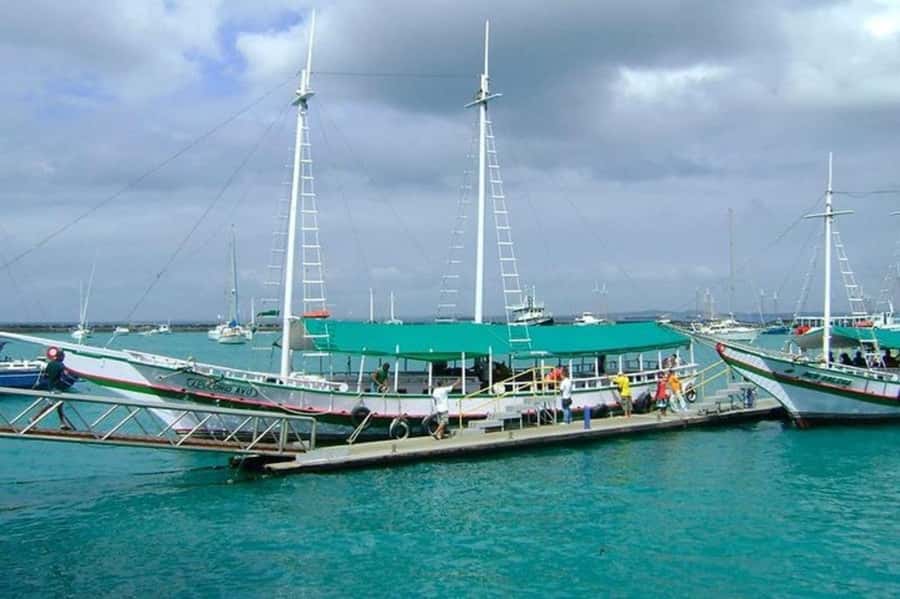 From Salvador: Schooner Tour to Frades Island - Five hours to swim, rest, and explore