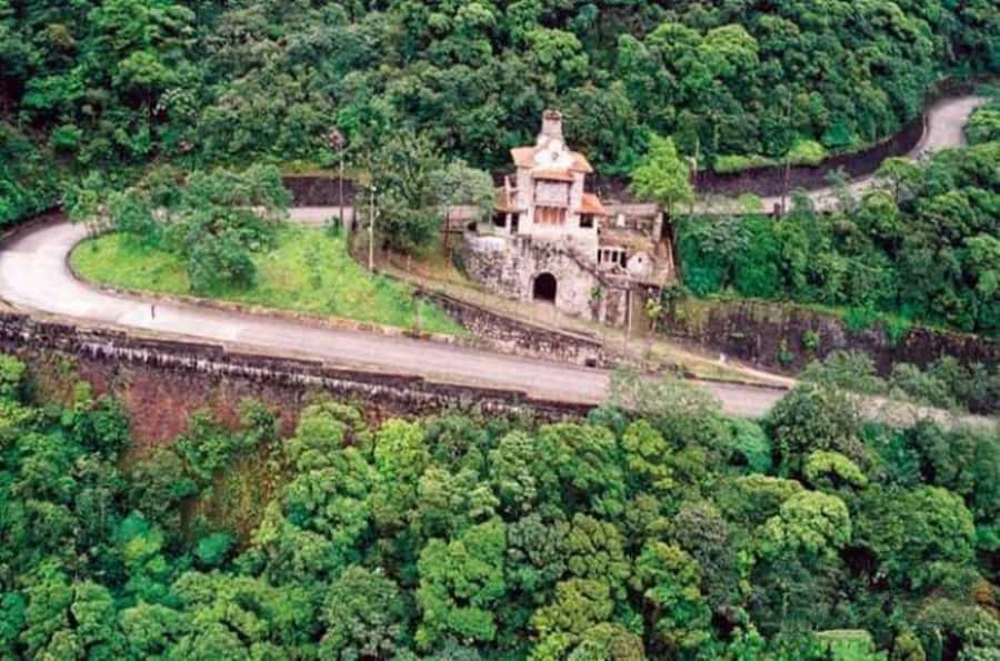 From São Paulo: Private Tour of Atlantic Forest & Valleys - Who should book this day trip?