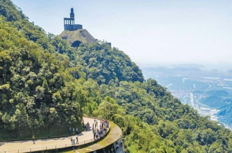 From São Paulo: Private Tour of Atlantic Forest & Valleys - Flora, fauna, and the feel of the Atlantic Forest