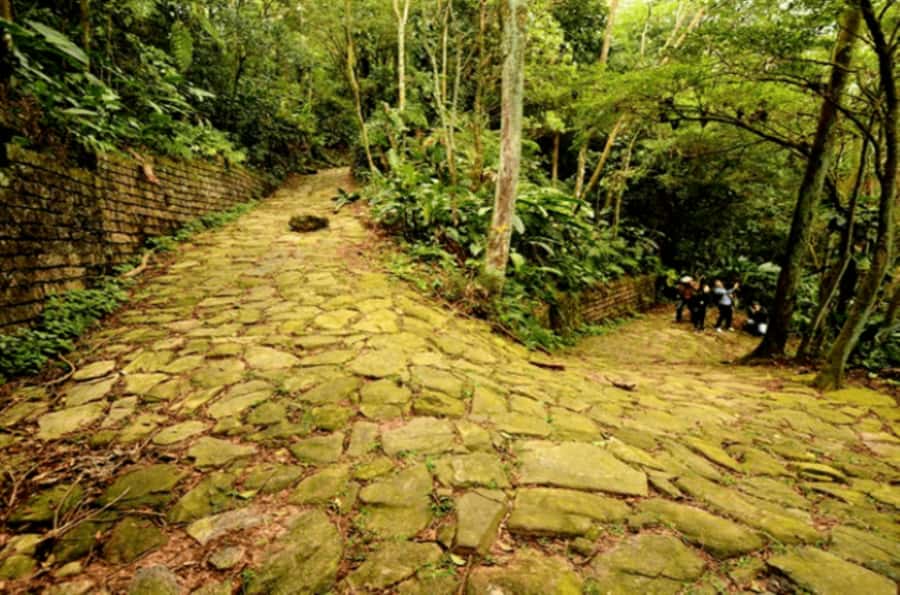 From São Paulo: Private Tour of Atlantic Forest & Valleys - The coast view from Serra do Mar