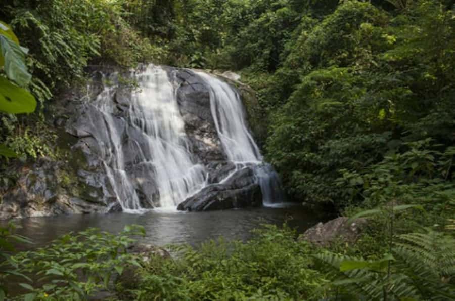 From São Paulo: Private Tour of Atlantic Forest & Valleys - Walking the Calçada do Lorena