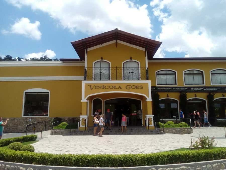 From São Paulo: São Roque Wineries Route and Tasting of Wine - Why São Roque makes a good wine day from São Paulo