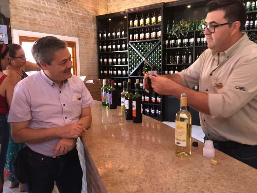 From São Paulo: São Roque Wineries Route and Tasting of Wine - Tasting at Terra do Vinho and the first winery stops