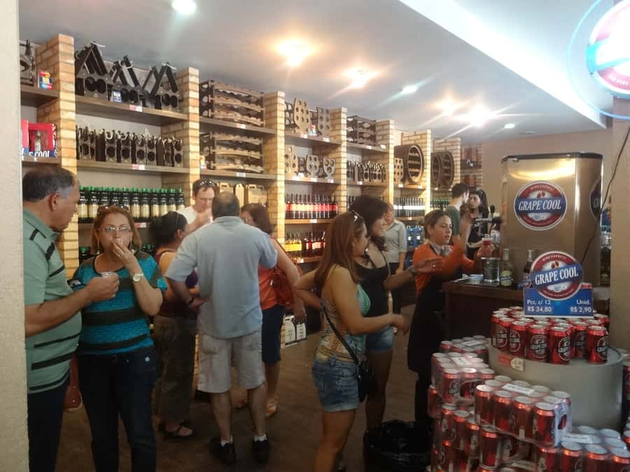 From São Paulo: São Roque Wineries Route and Tasting of Wine - Comparing artisanal wine with local food