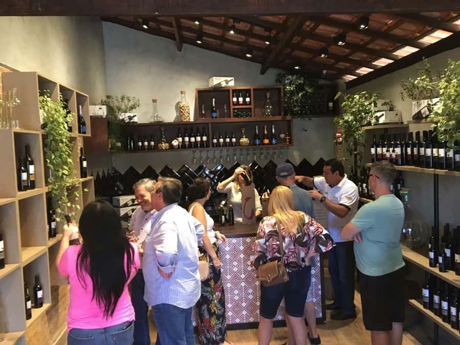 From São Paulo: São Roque Wineries Route and Tasting of Wine - Guides, comfort, and practical limits