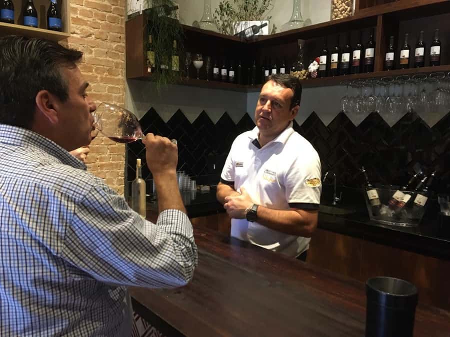 From São Paulo: São Roque Wineries Route and Tasting of Wine - The morning drive and small-group setup