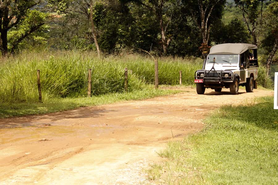 Full-Day Jungle Jeep Waterfall and Cachaça Distillery Tour - From Paraty to the Old Gold Trail