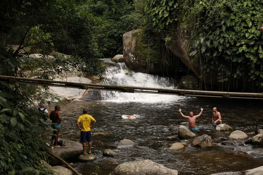 Full-Day Jungle Jeep Waterfall and Cachaça Distillery Tour - The Bromeliad Exhibition and More Than 300 Plant Species