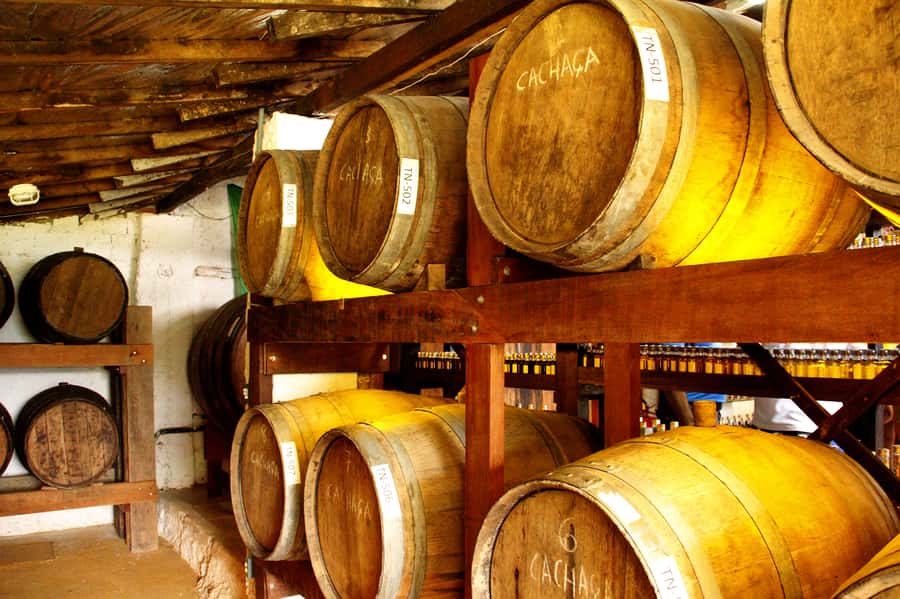 Full-Day Jungle Jeep Waterfall and Cachaça Distillery Tour - Who Will Get the Most From It