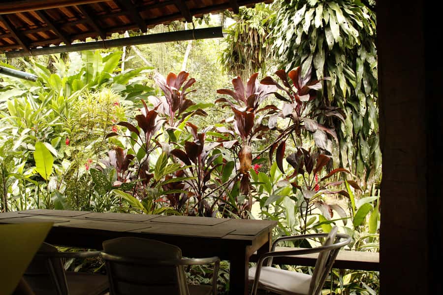 Full-Day Jungle Jeep Waterfall and Cachaça Distillery Tour - Practical Details Before You Reserve