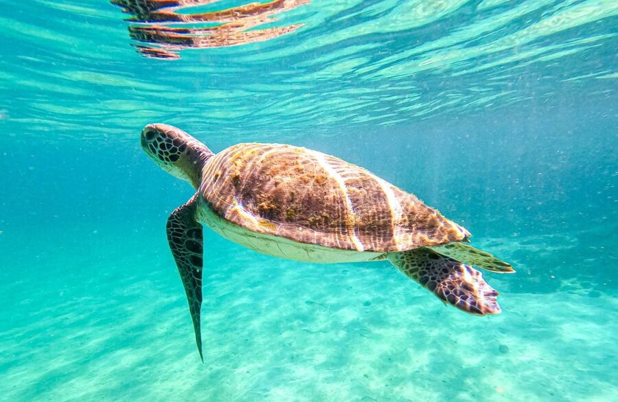 Full-Day Tour to Angra dos Reis and Ilha Grande - What the boat day feels like