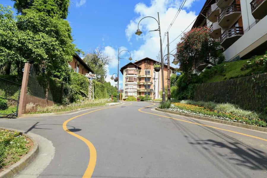Gramado and Canela: Private Daytour from Porto Alegre - Canela and the stone cathedral