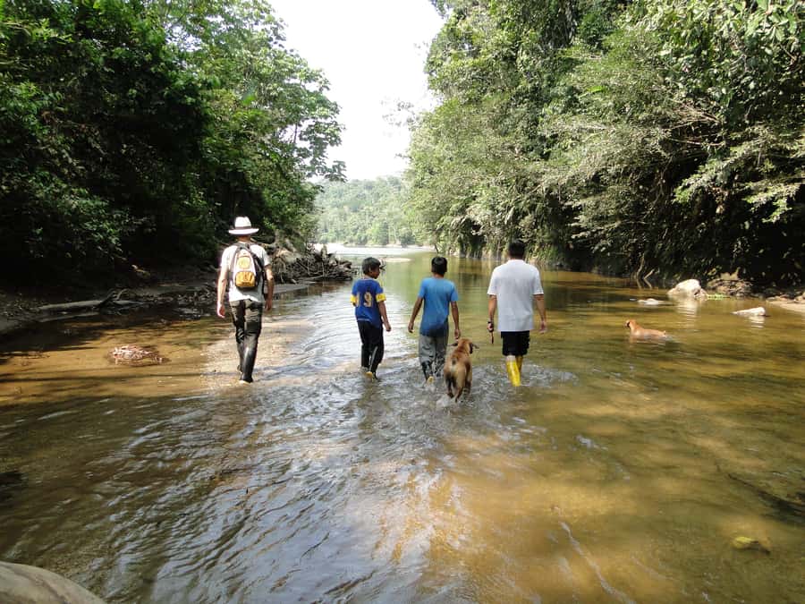 Grand Selva Tours 3 Day Jungle Expedition Ecuador all incl - A practical three days at Grand Selva Lodge