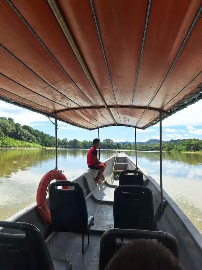 Grand Selva Tours 3 Day Jungle Expedition Ecuador all incl - Anaconda Island and an indigenous family visit