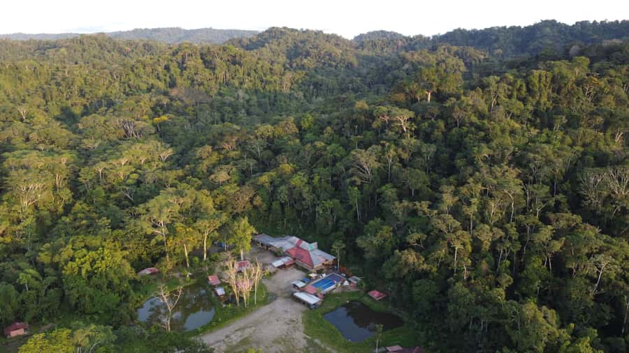 Grand Selva Tours 3 Day Jungle Expedition Ecuador all incl - Making chocolate from cacao beans