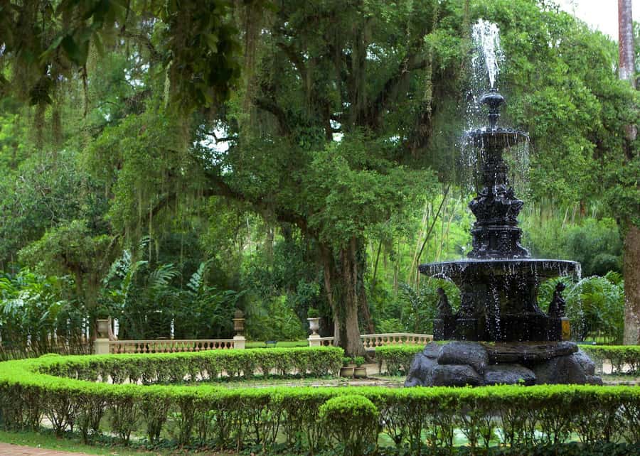 Green Rio: Guided Tour of Botanical Garden and Lage Park - Starting with 7,000 plant species at the Botanical Garden