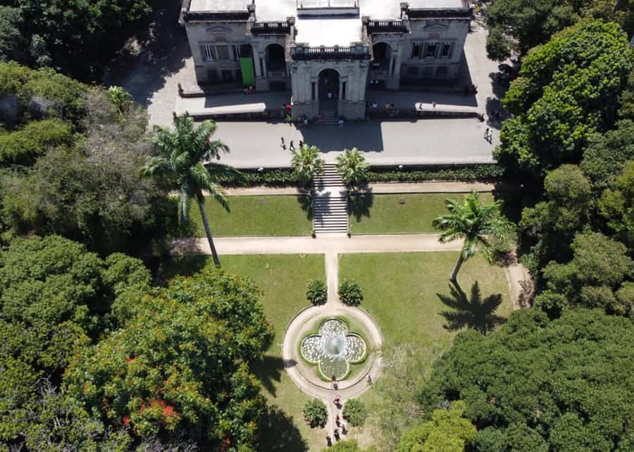 Green Rio: Guided Tour of Botanical Garden and Lage Park - What the guide adds to the walk