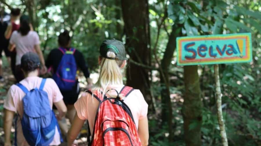 Guided Hike and Kayak or SUP River Tour w/ Transfer - Paddling the Iguaçu River