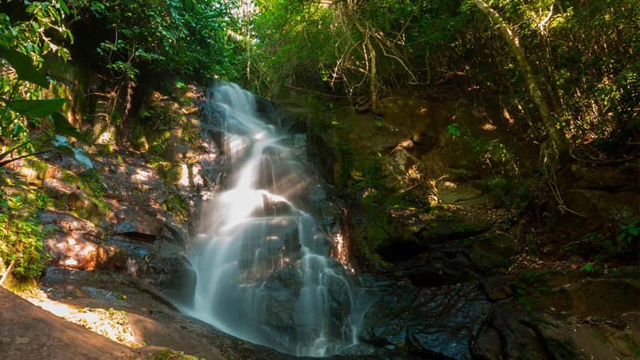 Guided Hike and Kayak or SUP River Tour w/ Transfer - Who will get the most from this outing