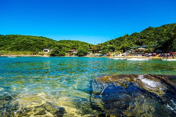 Guided Tour to Búzios with Boat Tour and Lunch - Praia da Tartaruga and its calm, colorful water