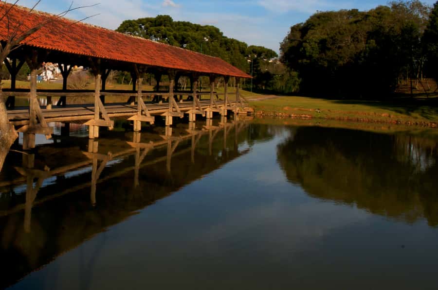 Half-Day Tour of Curitiba City - Guaíra Theatre and Curitiba’s cultural side