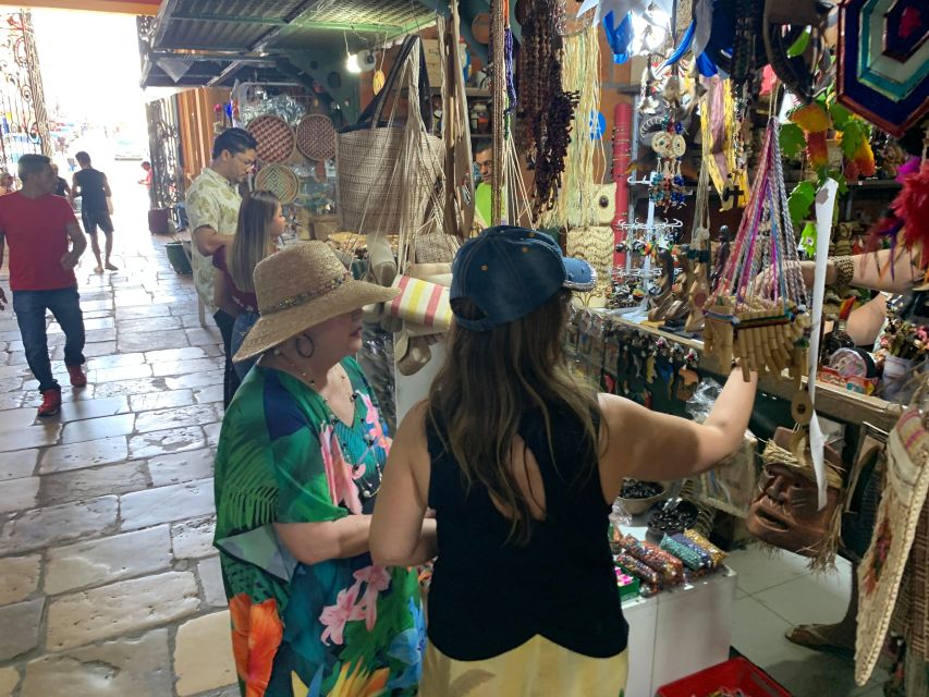 Historic City Tour Manaus by car with 3 stops. - Who should book this Manaus tour