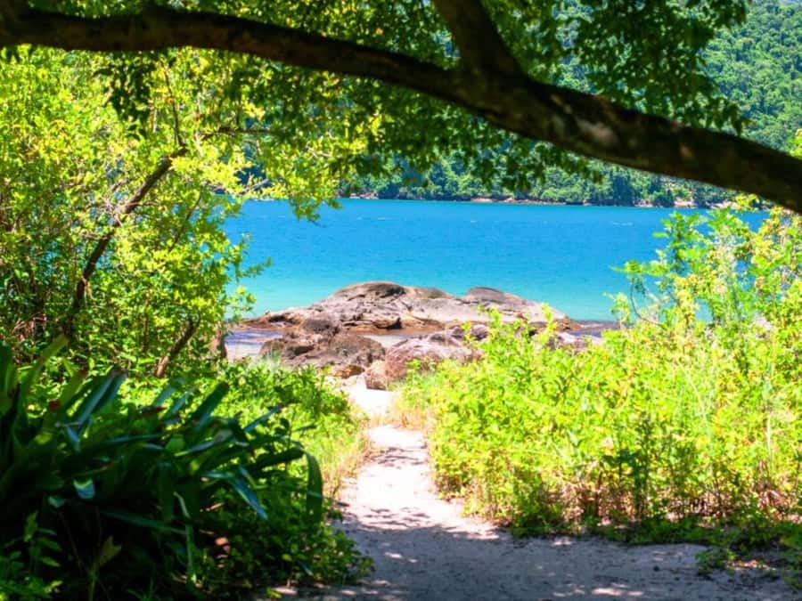 Idyllic Islands Private Speedboat Tour in Paraty - Should you book the Idyllic Islands Private Speedboat Tour?