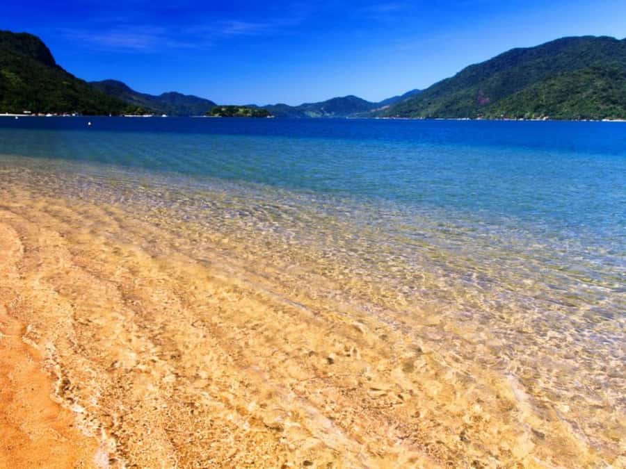 Idyllic Islands Private Speedboat Tour in Paraty - Who will get the most from this boat trip