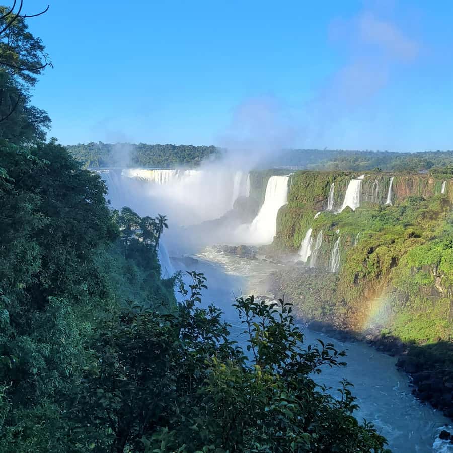 Iguassu Falls: Brazilian Side Private Tour - What to bring for a wet rainforest day