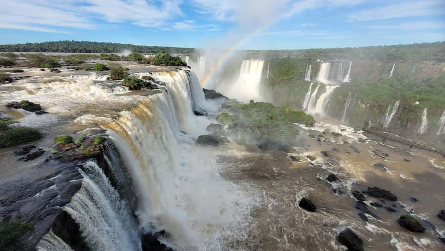 Iguassu Falls: Brazilian Side Private Tour - The park road through Atlantic Rainforest
