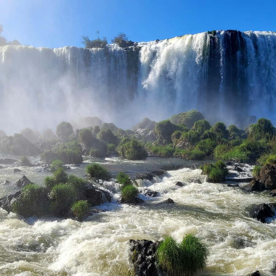 Iguassu Falls: Brazilian Side Private Tour - Adding the Macuco Safari boat ride