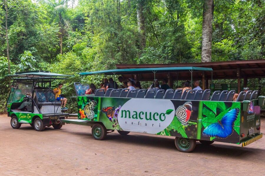 Iguassu Falls: Guided Tour & Macuco Safari on Pontoon Boats - Who will get the most from this day?