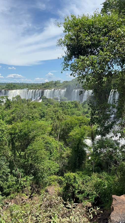 Iguassu Falls: Private Tour Argentina side - What the private guide adds