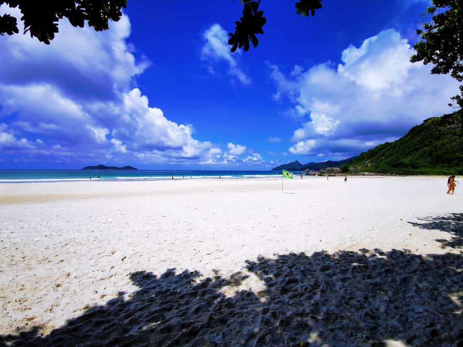 Ilha Grande: Lopes Mendes Private Hiking Tour - What $224 per person gets you