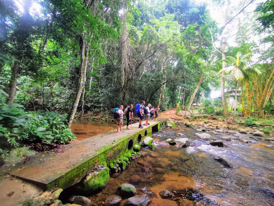 Ilha Grande: Private Hiking with Forest, Beaches & Waterfall - A day that links Ilha Grande’s past and present