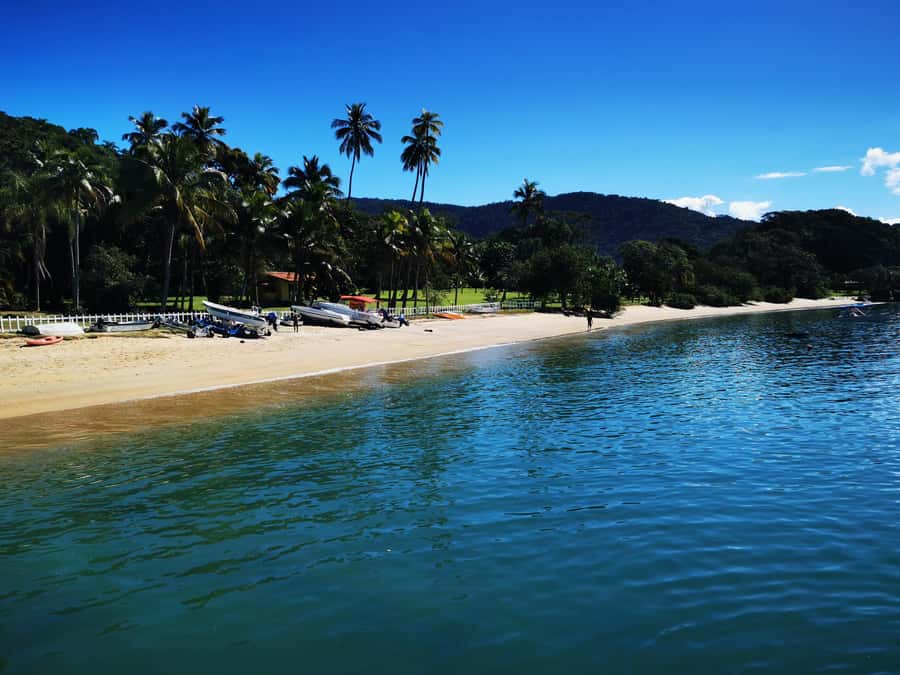 Ilha Grande: Private Hiking with Forest, Beaches & Waterfall - What the private format adds