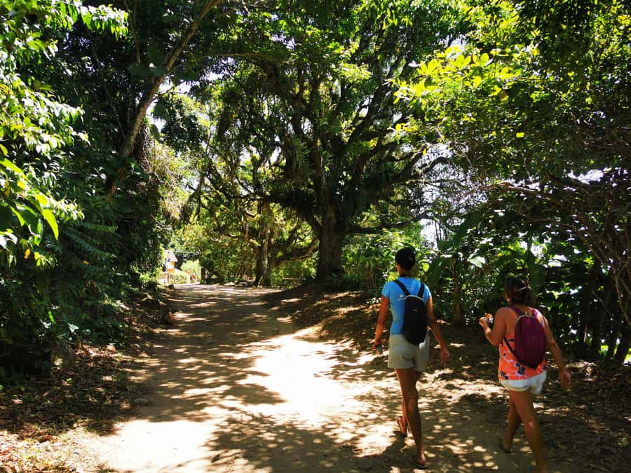 Ilha Grande: Private Historic Walking Tour with Natural Pool - What the $156 price means