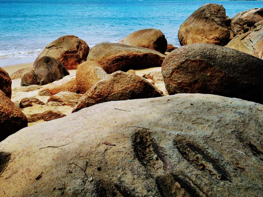 Ilha Grande: Private Historic Walking Tour with Natural Pool - Choosing your guide