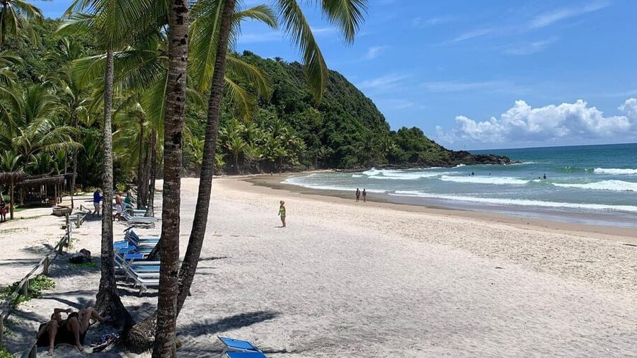 Itacare: 4 Beaches Trail and Tijuipe Waterfall - A full day built around Itacaré’s coast
