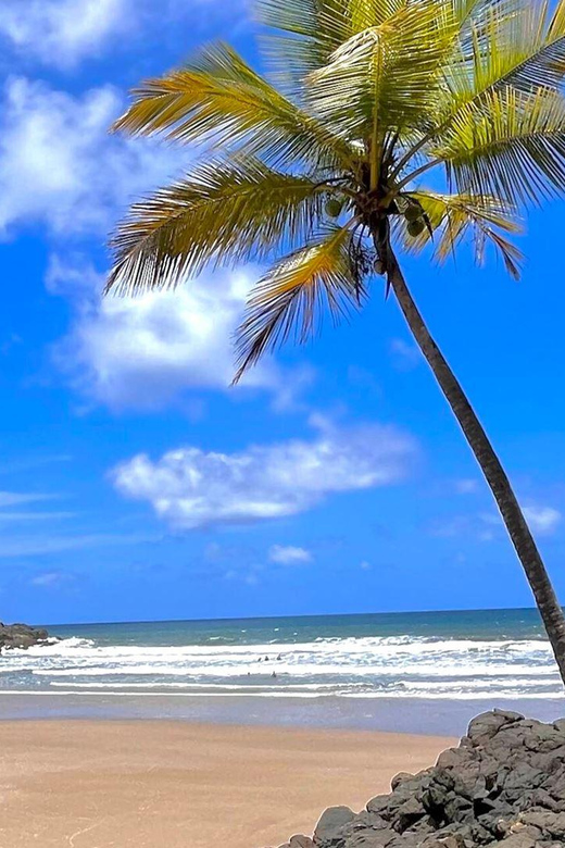 Itacare: 4 Beaches Trail and Tijuipe Waterfall - Havaizinho: the practical beach stop