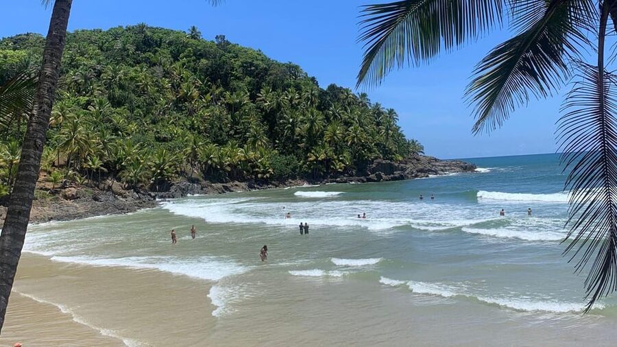 Itacare: 4 Beaches Trail and Tijuipe Waterfall - Who will enjoy this outing most