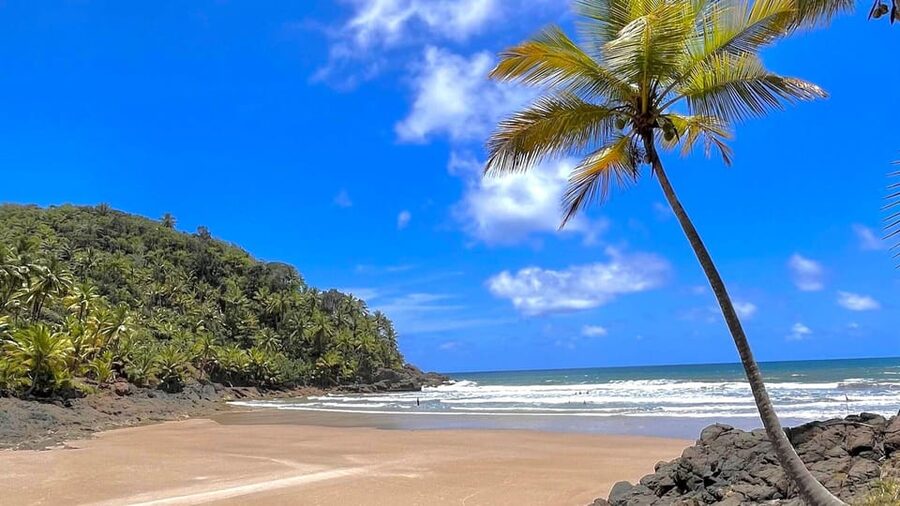 Itacare: 4 Beaches Trail and Tijuipe Waterfall - Useful planning advice for the day