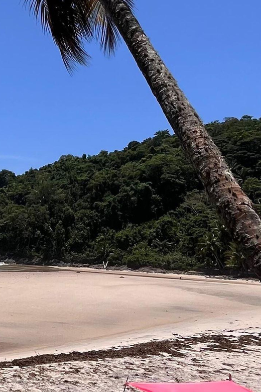 Itacare: Jeribucaçu Trail and Usina Waterfall - What to bring for the waterfall and beaches