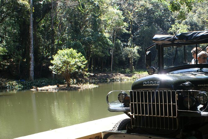 Jeep Adventure: Guided Tour through Tijuca Rain Forest - What this Tijuca Forest tour is really like