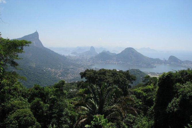 Jeep Adventure: Guided Tour through Tijuca Rain Forest - The gentle hike to Cachoeira dos Macacos