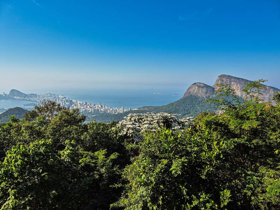 Jeep'n'Culture: Rocinha Favela and Tijuca Rainforest Tour - From rainforest waterfall to hillside community