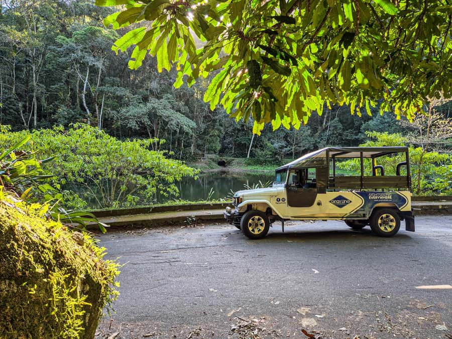 Jeep'n'Culture: Rocinha Favela and Tijuca Rainforest Tour - Cascatinha Taunay, the clearest photo stop