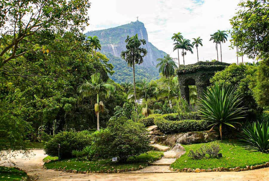 Jeep'n'Green: Rio Botanical Garden & Tijuca Rainforest Tour - Key points at a glance